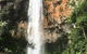 Purling Brook Falls Gwongorella - thumb 0