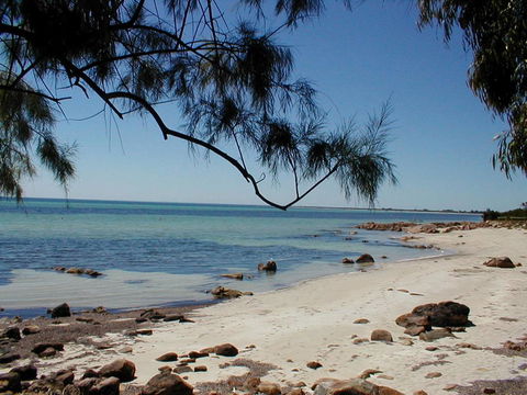 Purple Patch - Accommodation Port Macquarie 1