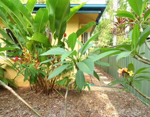 Rainforest Cottage Cairns - Accommodation Port Macquarie 0