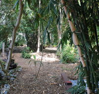 Rainforest Water Front River Shack Secluded. - Accommodation Port Macquarie
