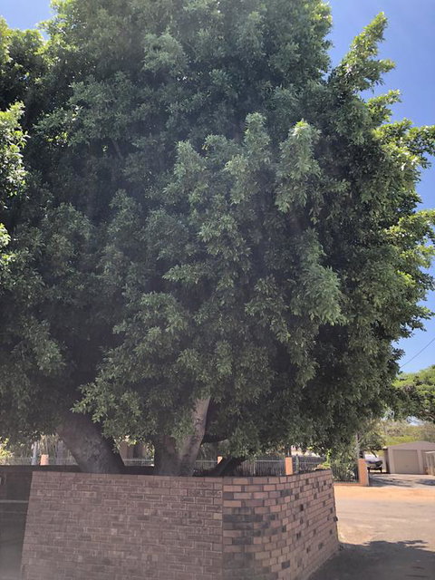 Reef Villa 9 - Accommodation Port Macquarie 2