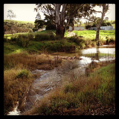 River Cottage Barossa -Self Contained-30 Acres-360 Degree Views-Netflix -Wine-Wifi - Accommodation Port Macquarie 3