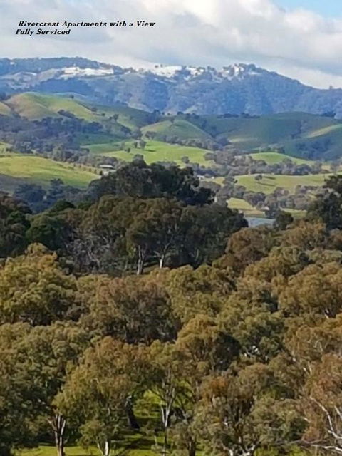 Rivercrest Apartments - Accommodation Port Macquarie 3