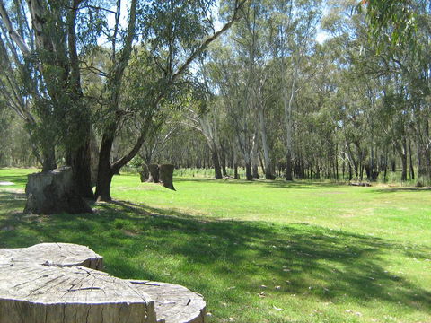 Rivergum Holiday Park - Accommodation Port Macquarie 2