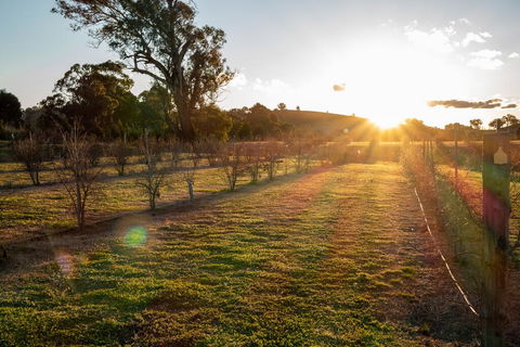 Riverview Farm & Guesthouse - Accommodation Port Macquarie 3
