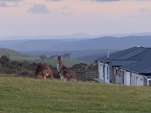 Rooks Edge - Accommodation Port Macquarie 0