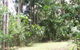 Rumbalara Bed And Breakfast - thumb 2