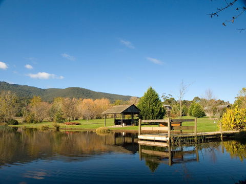 Sanctuary Park Cottages - Accommodation Port Macquarie 0