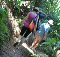 Sanctuary Retreat - Accommodation Port Macquarie