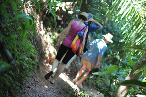 Sanctuary Retreat - Accommodation Port Macquarie 0
