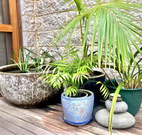 SEAeSCAPE Apollo Bay - Accommodation Port Macquarie
