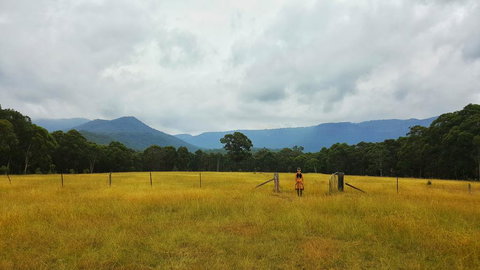 Secret Valley Escape - Accommodation Port Macquarie 0