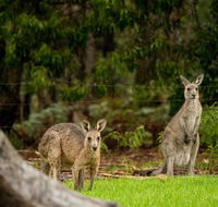 Secura Lifestyle Countryside Kalaru - Accommodation Port Macquarie