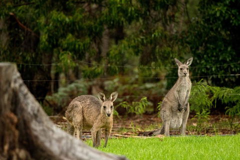 Secura Lifestyle Countryside Kalaru - Accommodation Port Macquarie 0