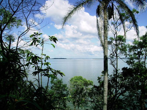 Seminara Apartments Coochiemudlo Island - Accommodation Port Macquarie 1