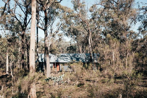 Shack 14 - Accommodation Port Macquarie 3