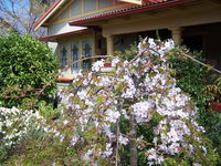 Book Katoomba Accommodation Vacations Accommodation Port Macquarie Accommodation Port Macquarie