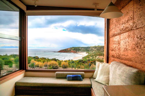 Sheoaks - Accommodation Port Macquarie 3