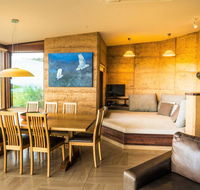 Sheoaks - Accommodation Port Macquarie