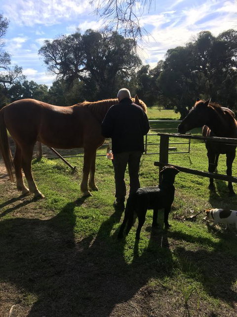 Shetland Park Chalets - Accommodation Port Macquarie 2