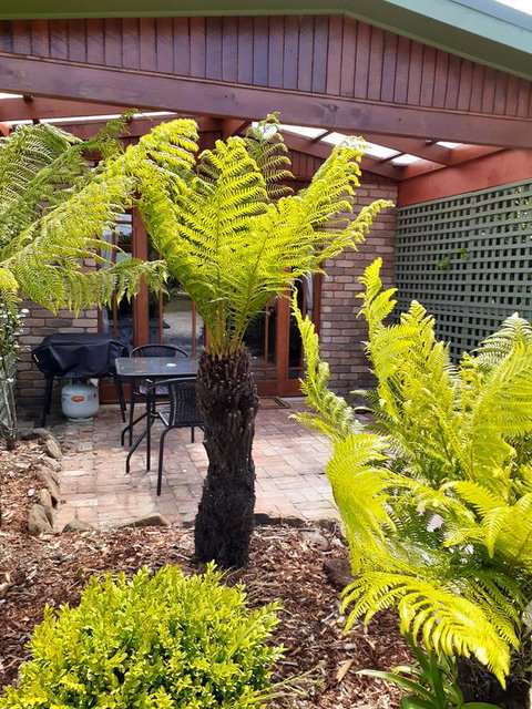 Sleepy Hollow Hideout (Hidout 2) - Accommodation Port Macquarie 1