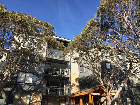 Snowflake 12 - Accommodation Port Macquarie 0