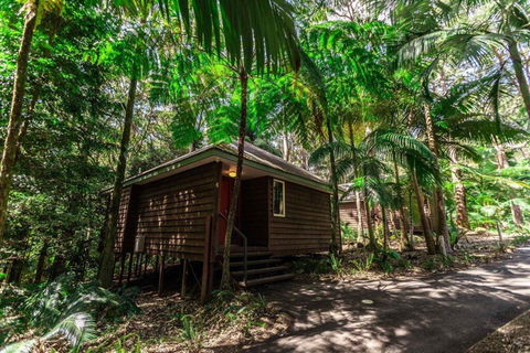 Songbirds Rainforest Retreat - Accommodation Port Macquarie 2