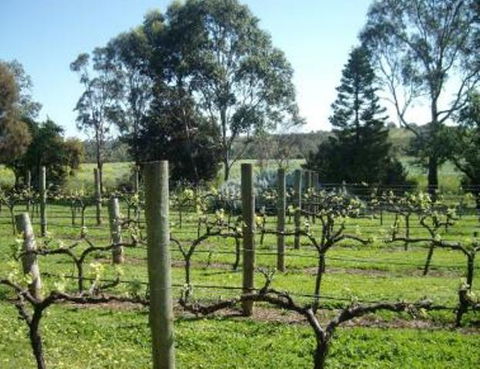 Southern Vales Bed & Breakfast - Accommodation Port Macquarie 1