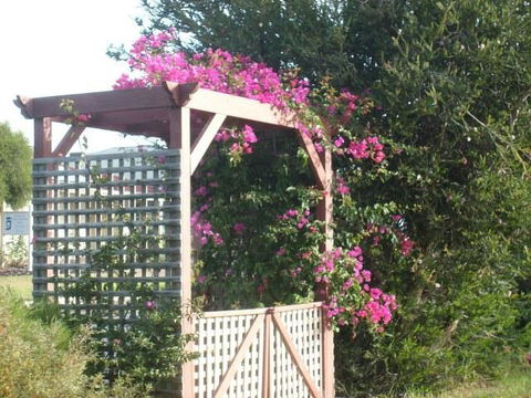 Southern Vales Bed & Breakfast - Accommodation Port Macquarie 3
