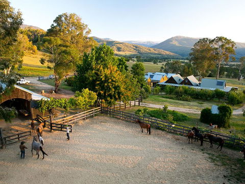 Spring Spur - Accommodation Port Macquarie 3