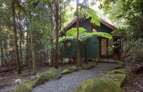 Springbrook Lyrebird Retreat - Accommodation Port Macquarie 1