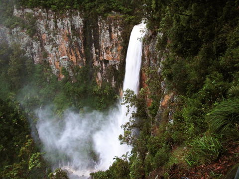 Springbrook Lyrebird Retreat - Accommodation Port Macquarie 2