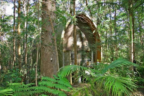 Springbrook Mountain Chalets - Accommodation Port Macquarie 0