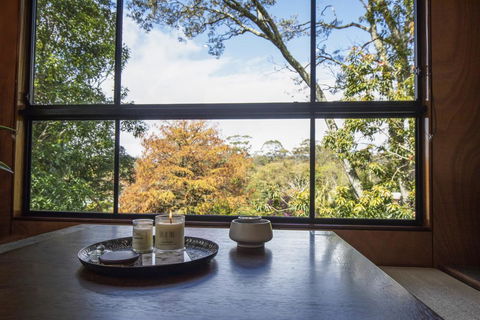 Springbrook25 Upper Apartment - Accommodation Port Macquarie 0