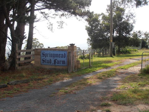 Springmead B&B - Accommodation Port Macquarie 2
