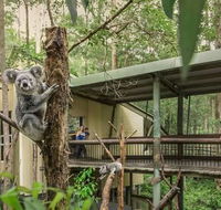 Springwood Meditation Centre - Accommodation Port Macquarie