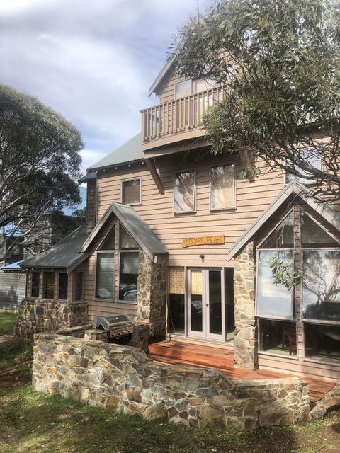 Square Bear-DPA - Accommodation Port Macquarie 0