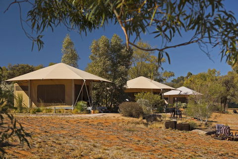 Squeakywindmill Boutique Tent B&B - Accommodation Port Macquarie 0