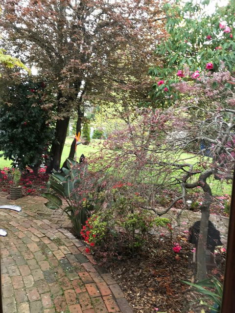 Stony Rise Cottage B&B - Accommodation Port Macquarie 1