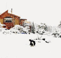STUNNING HOME WITH AMAZING VIEWS - just 20 mins to the city and only 10 to MONA - Accommodation Port Macquarie