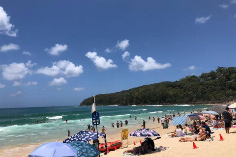 Sunshine Coast Cottage - Accommodation Port Macquarie 3