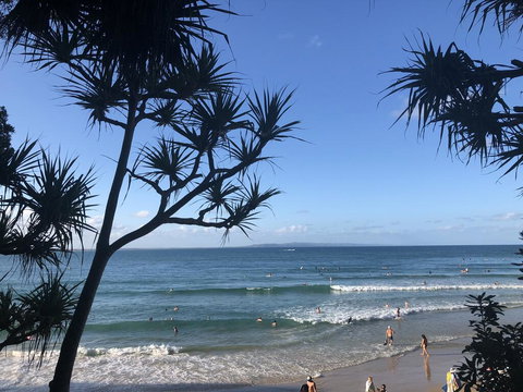 Sunshine Coast Cottage - Accommodation Port Macquarie 1