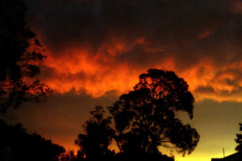 Taits Place Vineyard B & B - Accommodation Port Macquarie 0
