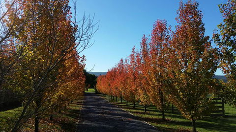 Tamar Valley Farm Stay - Accommodation Port Macquarie 3
