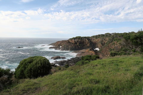 Tathra Hotel & Motel - Accommodation Port Macquarie 1