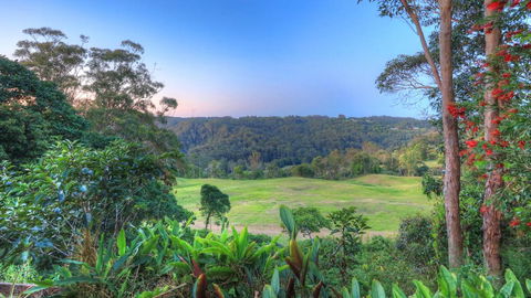 The Avenue At Montville Luxury Cottage - Accommodation Port Macquarie 3