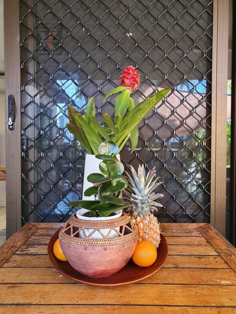 The Balinese - Accommodation Port Macquarie 2