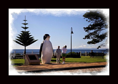 Penguin Beachfront Apartments - Accommodation Port Macquarie 13