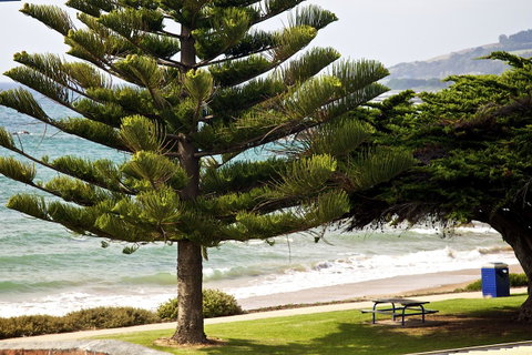 Penguin Beachfront Apartments - Accommodation Port Macquarie 9