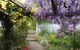 Birch Lane - thumb 20